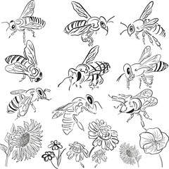 vector bees with flowers