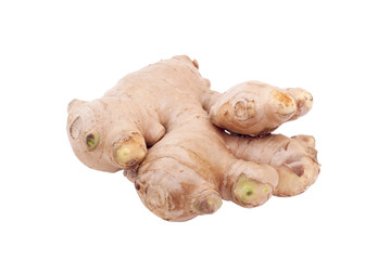 Gingers root