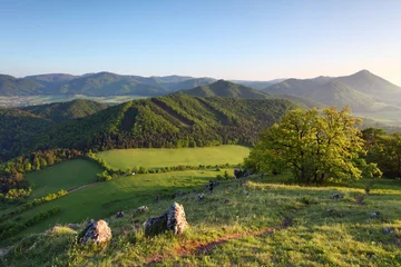 Foto auf Acrylglas Slovakia spring landscape in mountain © TTstudio