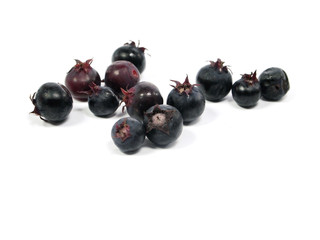 Saskatoon berries