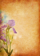 Vintage background with iris