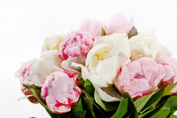 Rich bunch of peonies