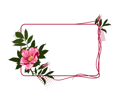 The frame with the wild pink roses