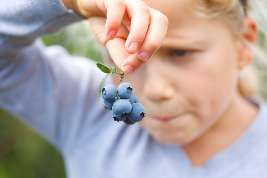 girl holding blueberries