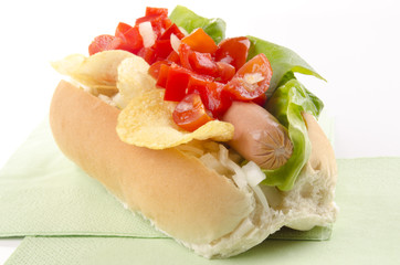 hotdog with potato chips and tomato relish