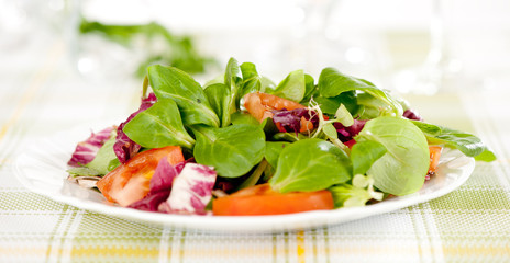 Closeup of vegetable salad