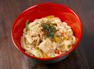 pork slice  and udon-noodle