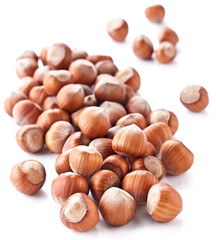Nuts filberts isolated