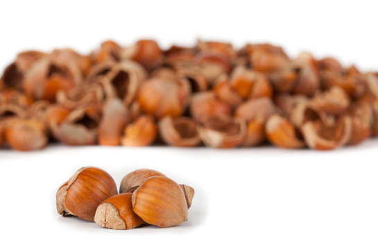 Biocombustibile: gusci di nocciole