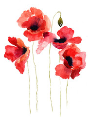 Obrazy  Ilustracja stylizowane kwiaty maku