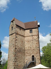 Fototapeta na wymiar Prochowa w Eberbach, Neckar