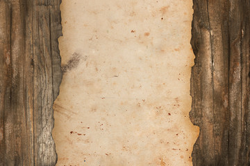 Damaged paper roll on a wooden background