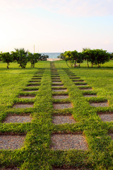 path in the grass to the sea