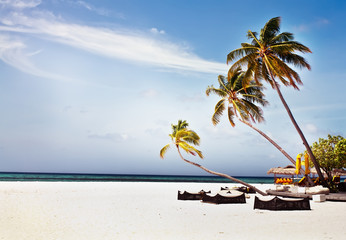 Fototapeta na wymiar Coconut trees and beach couches with blue sky