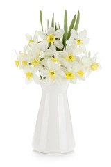 Bouquet of white daffodils