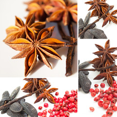 Baie rose, badiane, fève de tonka et gousse vanille