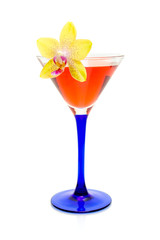 orchid flower and a glass of wine on a white background