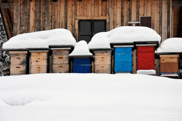 colorful beehives in the snow - 41518369