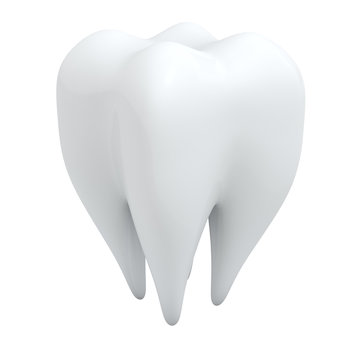 3D human tooth isolated on white background.