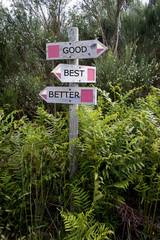 two wooden directional signs on a pole: good, best, better