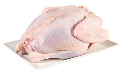 Raw turkey. Isolated
