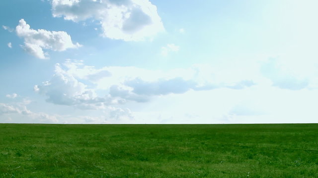 Meadow with green grass and blue sky with clouds