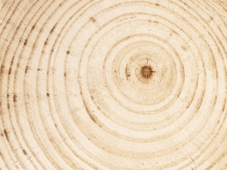 Naklejka premium Natural unpainted wooden texture