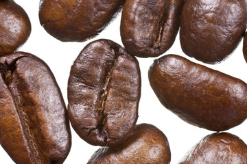Coffee Bean Extreme Macro