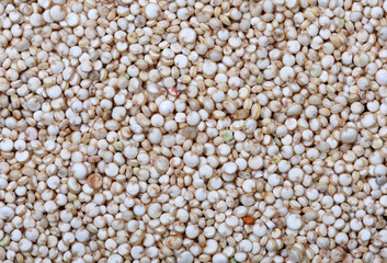 Quinoa