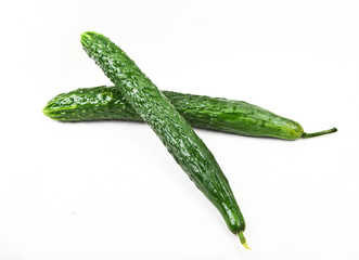 cucumber
