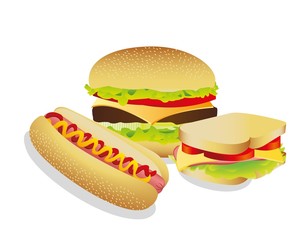Sandwich, hot dog and hamburguer
