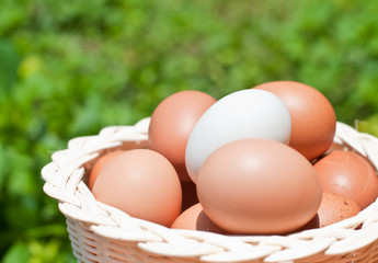 eggs in a wicker basket.