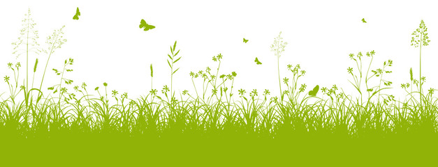 Blumenwiese, Gras, Wiese, Grün, Feldwiese, Sommer, Frühling