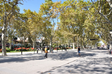 Fototapeta premium Montpellier 6