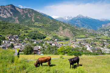 Fototapeta na wymiar Aosta Valley. Italy