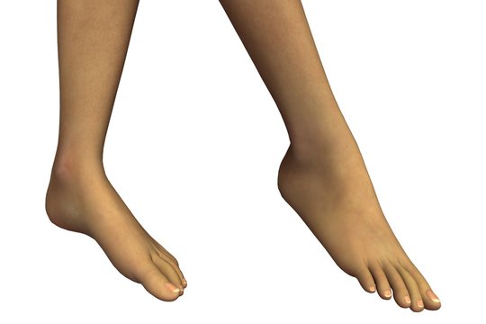 beautiful feminine feets on white background