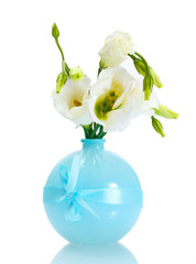 beautiful spring flowers in vase isolated on white