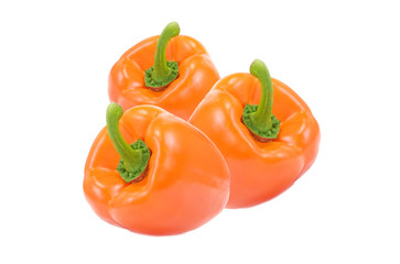Paprika. Pepper isolated on white background.