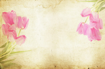 Pink vintage tulips