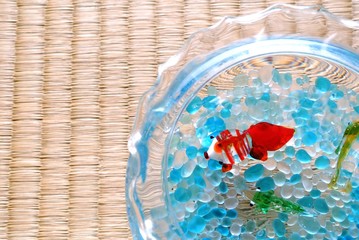 たたみと金魚