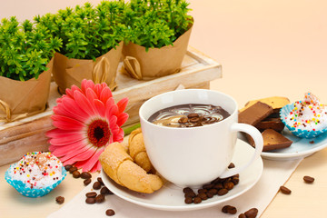 cup of coffee and gerbera  beans, cinnamon sticks