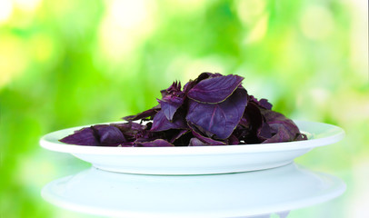 Basil in a white plate on green background