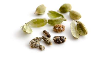 Grüner Kardamom