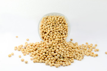 soybean