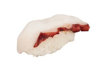 Japanese sushi with meat octopus on a white background