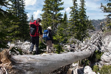 two mountaineers and the old tree trunk