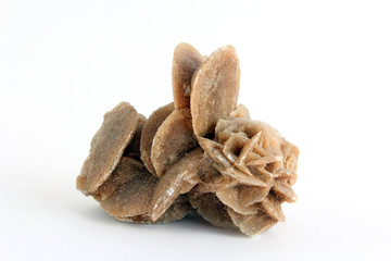 Sandrose