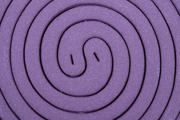 Fototapeta na wymiar Bliska Purpurowy komara cewki spiralne.