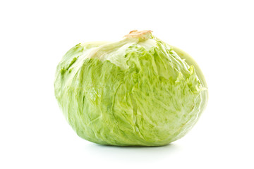 Fototapeta premium cabbage salad