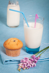 Healthy nutrition with fresh milk and chocolate muffin.